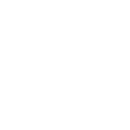The American Breast Cancer Foundation